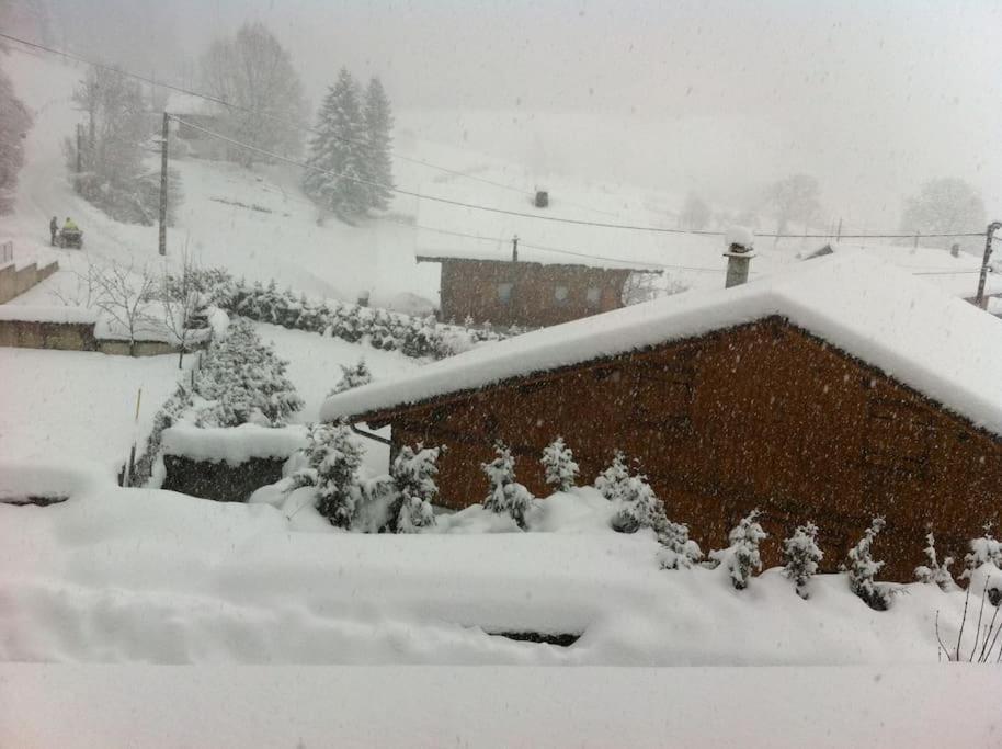 Dans Hameau, Pres Des Pistes Logement De Plein Pied Au Calme Taninges Buitenkant foto