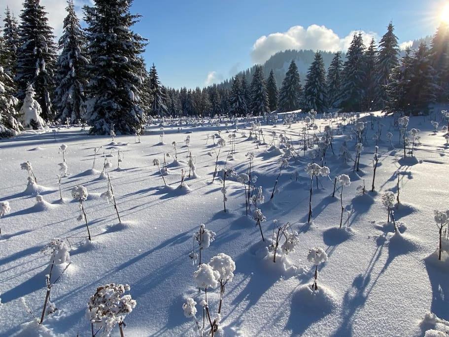 Dans Hameau, Pres Des Pistes Logement De Plein Pied Au Calme Taninges Buitenkant foto