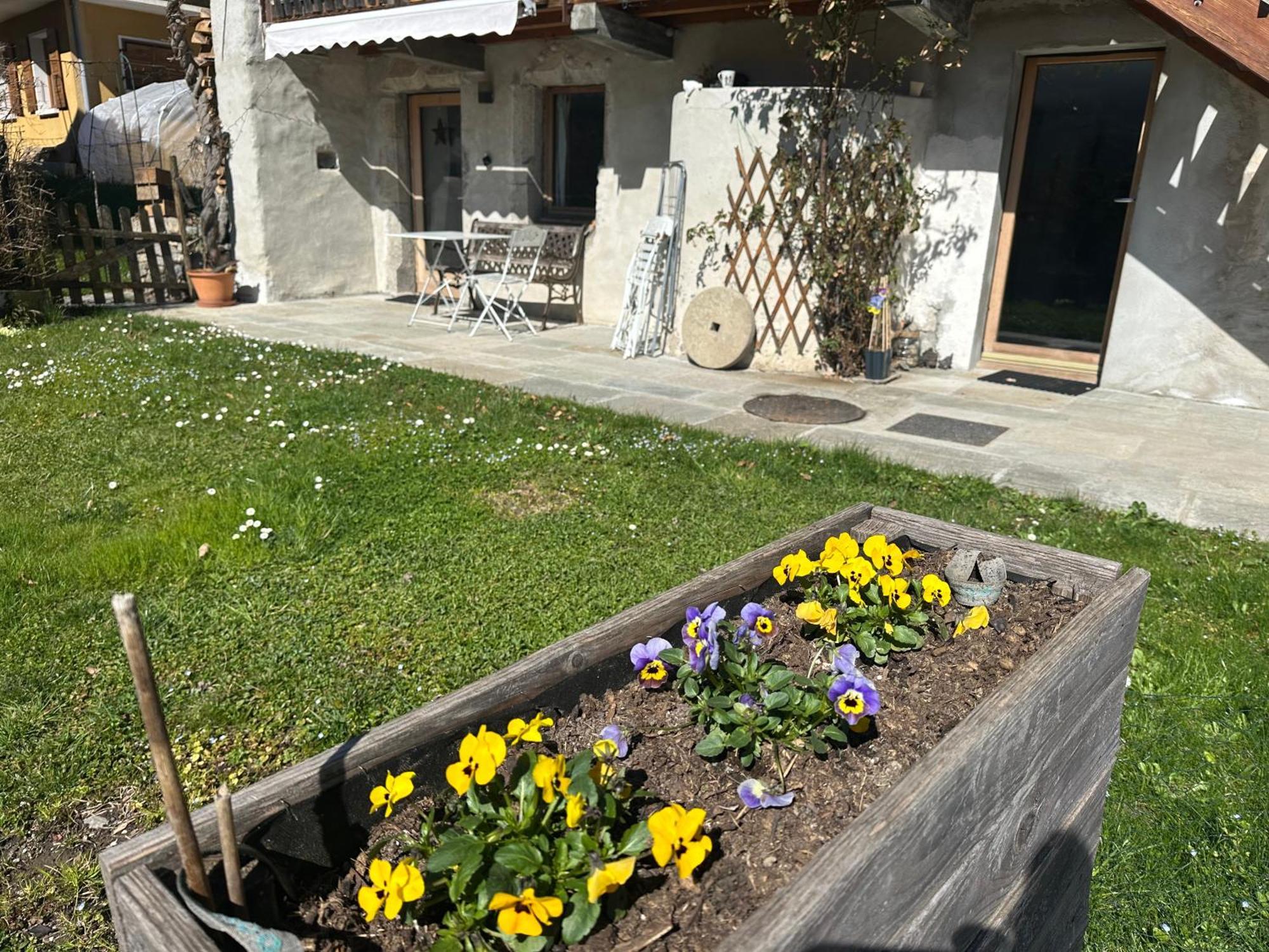 Dans Hameau, Pres Des Pistes Logement De Plein Pied Au Calme Taninges Buitenkant foto
